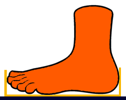 foot measurement 2