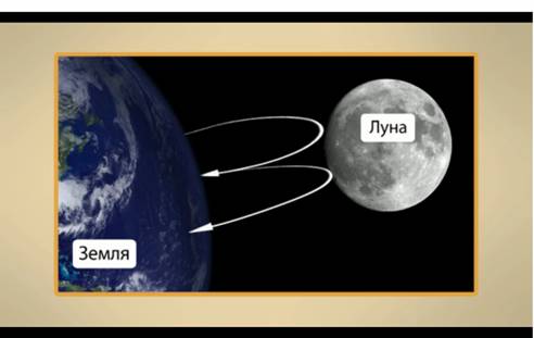 Общая длина нервной ткани человека