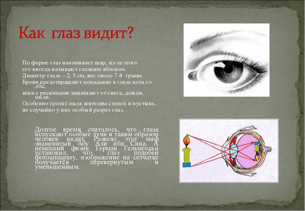 Перевернутое изображение в глазу