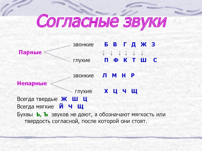 Схема глухие согласные и схема