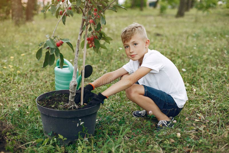 Дети вырастили цветы. Сажать цветы. Мальчик сажает дерево. Дети сажают деревья. Дети сажают цветы.