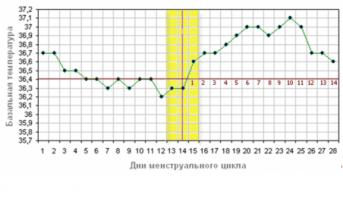 какая базальная температура при беременности
