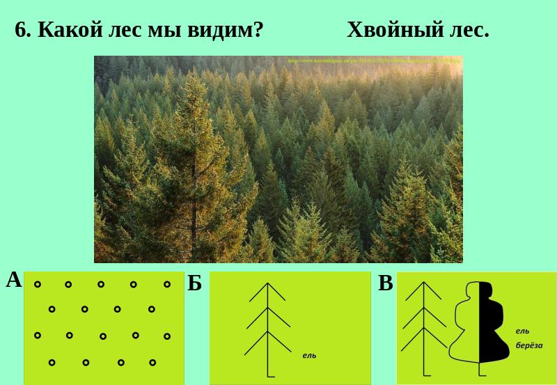 Смешанные условные. Хвойный лес условный знак. Условные обозначения растительности. Береза условное обозначение. Смешанный лес условный знак.